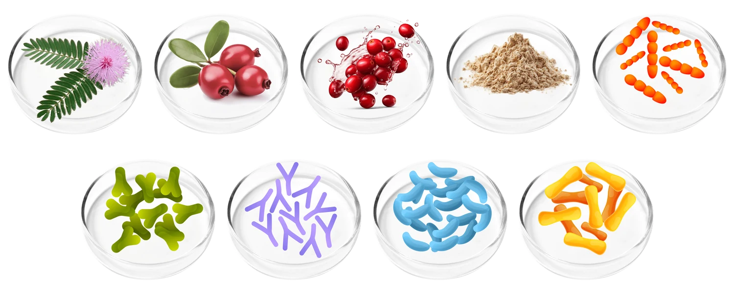 FemiCore ingredients